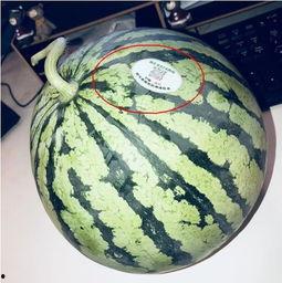 武穴网红吃瓜,揭秘网络舆论背后的真相