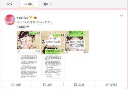 潍坊吃瓜后续新闻,后续新闻追踪与热议