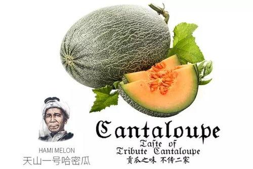 潮州吃瓜号,揭秘潮州美食背后的故事与风情