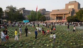 中央美院 吃瓜,吃瓜群众眼中的艺术殿堂