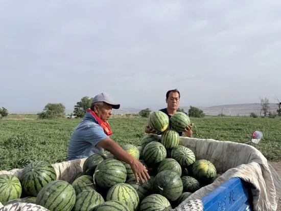吃瓜过大年,欢乐团圆，品味民俗