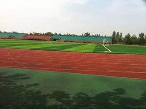 焦作师专操场吃瓜,夏日校园生活新风尚