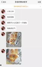 火漆吃瓜bot,揭秘网络舆论场的神秘力量