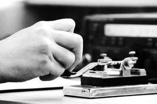 电报吃瓜大队,揭秘网络社交圈的趣味与争议