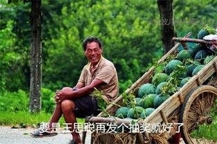 大熊的吃瓜日记在哪看,独家内容在线观看指南