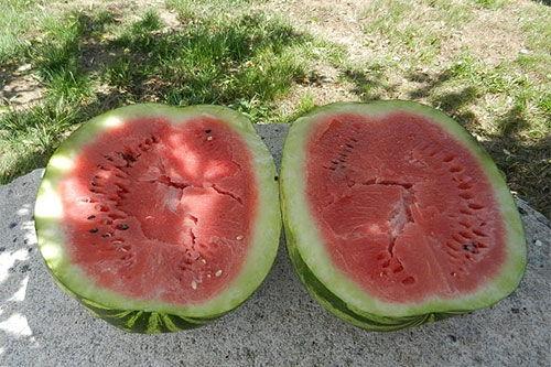 梦见吃黄色瓜,黄色瓜果的神秘启示