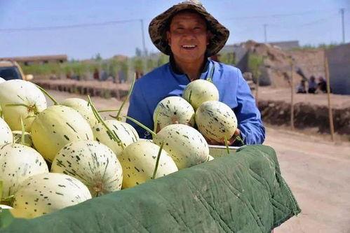 考古群众吃瓜视频,揭秘古人的生活趣味