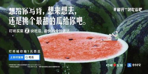 在外吃瓜文案,揭秘在外吃瓜的趣味与智慧