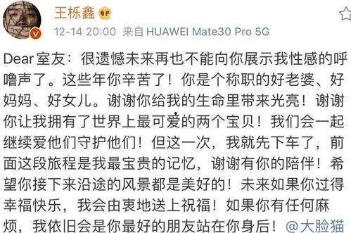 吃瓜群众简易画,趣味解读社会热点