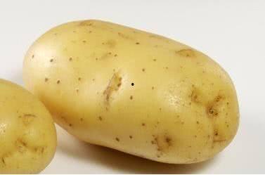 每晚准时吃瓜,揭秘每晚准时吃瓜的神秘生活