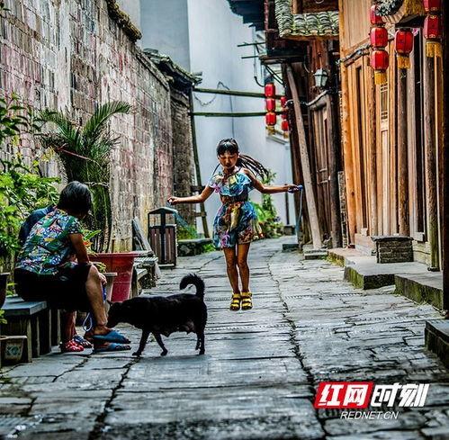 小巷人家吃瓜合集,趣味横生的邻里生活剪影