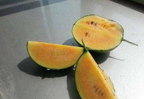 虹仔吃瓜,揭秘娱乐圈幕后故事