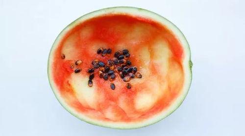 来用勺子吃瓜,体验传统美食的独特魅力